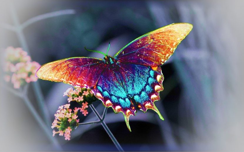i-ousia-tis-iparkis-mou